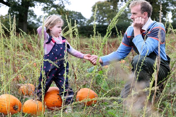 Inside Lancashire’s biggest ‘pumpkin patch’ ahead of Halloween