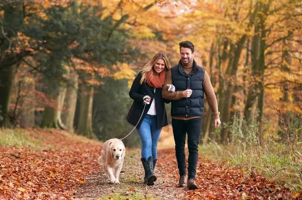 Two stunning autumn walks over the border with golden woodland and cosy cafes