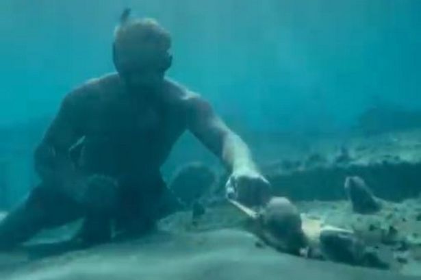 He dived to explore a shipwreck – what he found led to a magical friendship