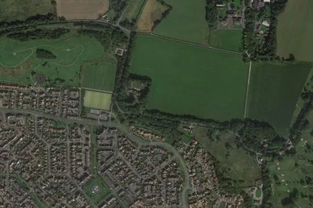 Investigation underway to identify man who touched dog walker inappropriately