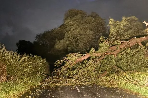 Storm Amy LIVE Lancashire updates as flood alerts issued, fallen trees block roads and trains cancelled