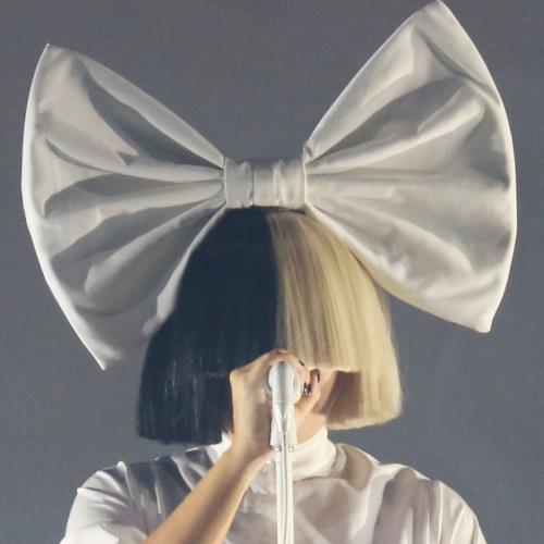 Sia’s estranged husband labels her ‘unfit’ to parent their son