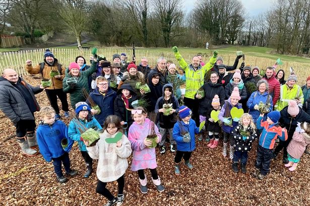 Nature boost for Lancashire as quarter of a million trees planted to provide ‘vital habitat’