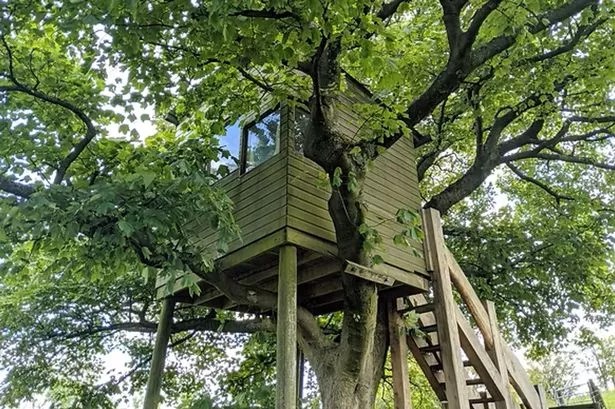 Unique treehouse stay with stunning views and goat yoga is perfect weekend getaway