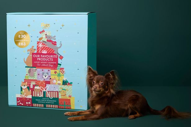 This giant dog advent calendar is packed with toys and this money saving hack gets you it for £13