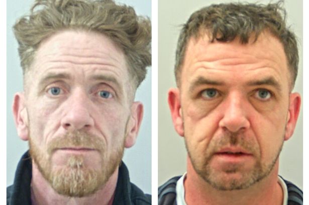 While the homeowners were working in takeaways these despicable brothers had their eyes on other things