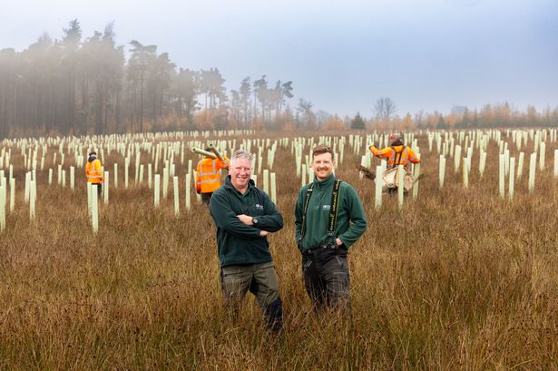 New woodland planted near reservoir with 4,000 trees in four days