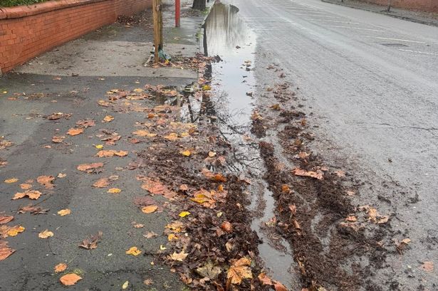 Residents refusing to visit local park due to ‘treacherous conditions’