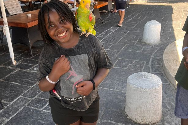 Girl, 9, screams ‘I’m going to die’ after being mauled by Bully type dog