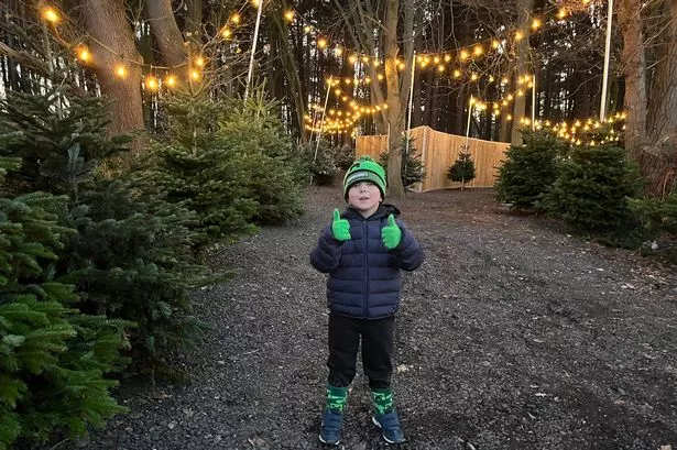 We visited ‘Santa’s Secret Forest’ just outside Lancashire and it was magical