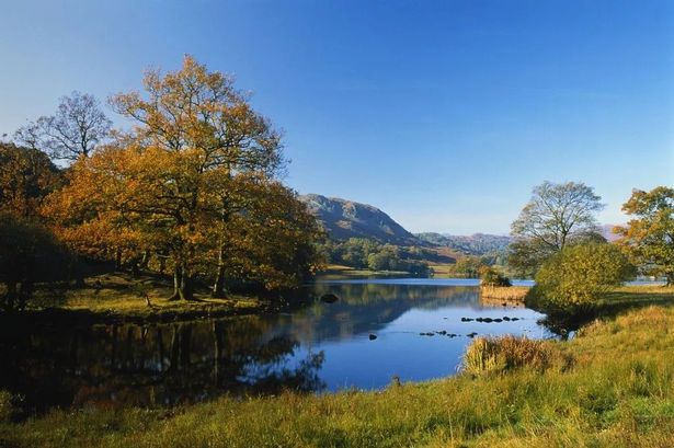 The three Lake District beauty spots to see rare red squirrels this autumn