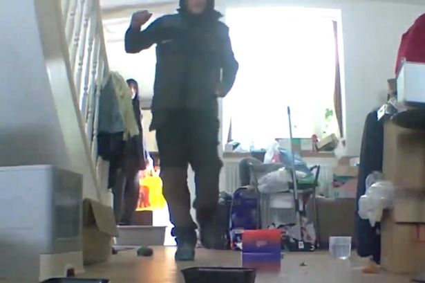 ‘Uninvited guests’ caught on kitty cam while the owners were away from home