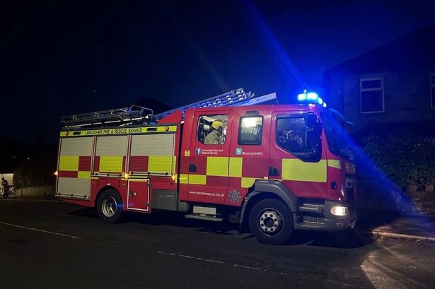 Dog stuck in metal wire fence rescued by firefighters