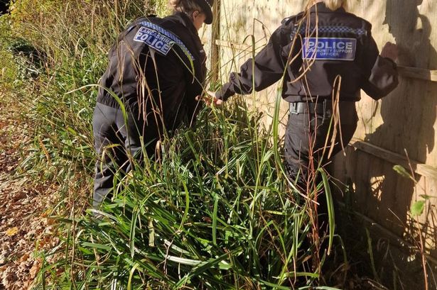 More than 700 knives recovered across week-long Lancs police operation