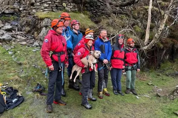 Mountain rescue team saves dog after he got stuck down mine shaft