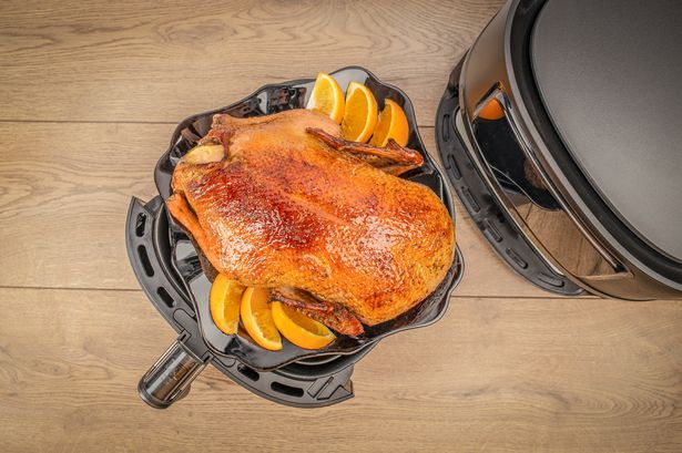 Air fryer warning as there is one thing you should never put in it