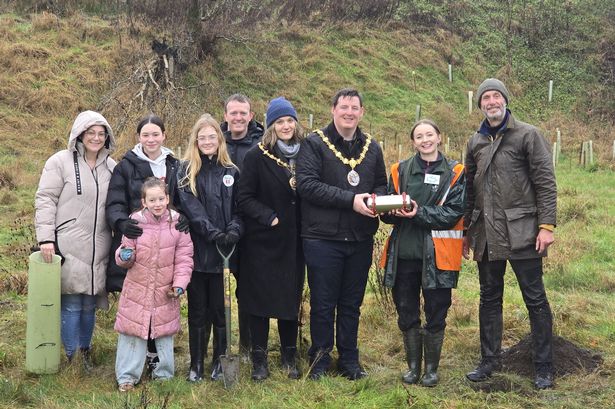 Community plants 3,600 trees in just one week at Accrington park