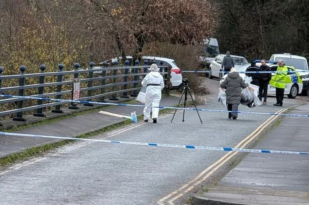 Woman in critical condition after falling from bridge at beauty spot