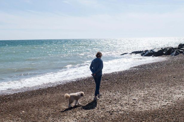 Urgent warning to dog walkers as ‘highly dangerous’ substance washes up on beaches