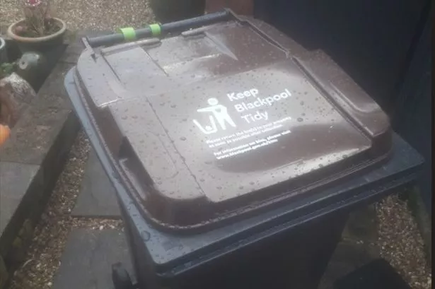 Fears raised over rats and flytipping surge under three-weekly bin collection plan
