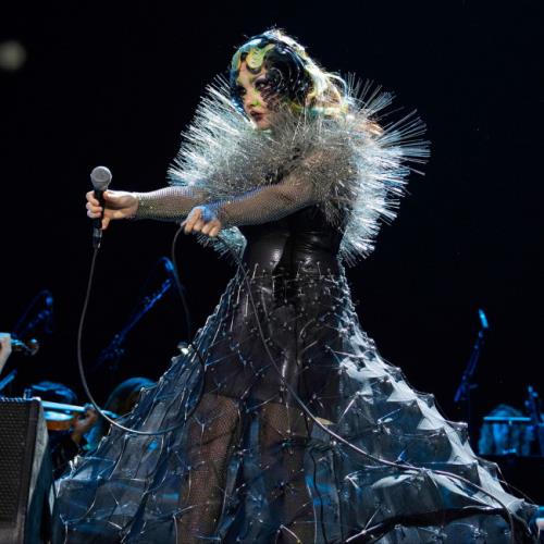 Bjork is working on first new album since 2022