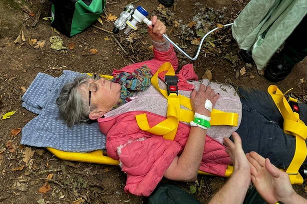 BBC antique show star rescued after serious injury on dog walk