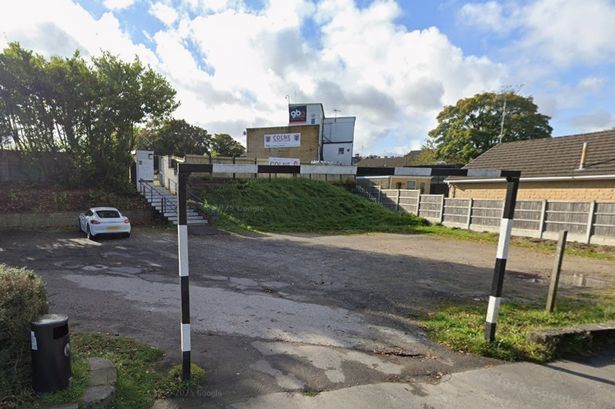 Historic cricket club asks hard-pressed council to transfer land ‘worth £20,000’ for free