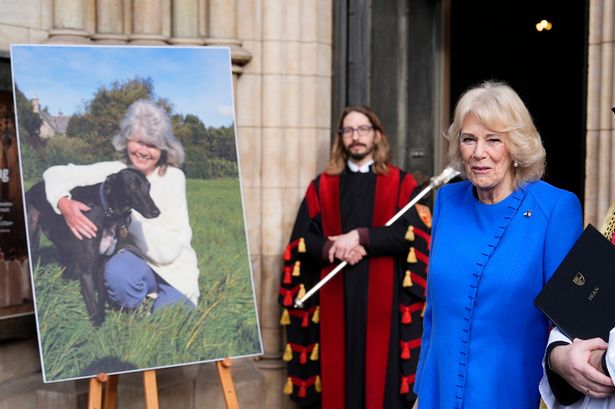 Queen Camilla and Rivals stars attend memorial service celebrating Dame Jilly Cooper’s life