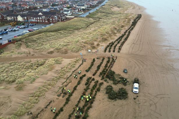 How thousands of old Christmas trees are becoming sea defences on the Lancashire coast