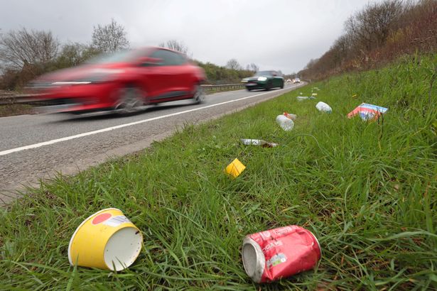 People breaking littering rules could lose their driving licence