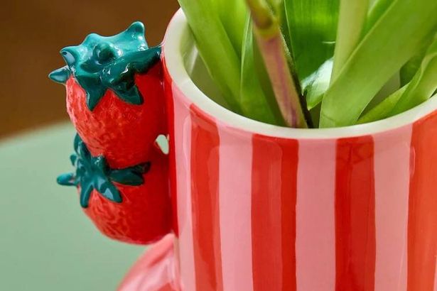 Next’s ‘beautiful’ £20 vase that ‘brightens up’ homes is perfect for spring