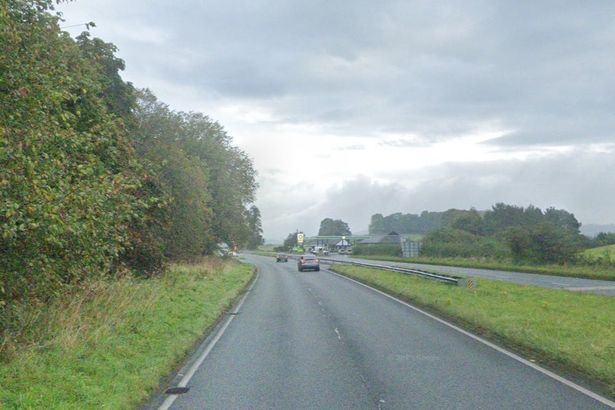 Driver tragically dies in horror crash after Mercedes hits tree near Kendal