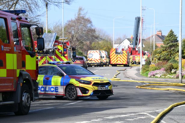 ‘I heard an almighty bang and then the dogs started barking’