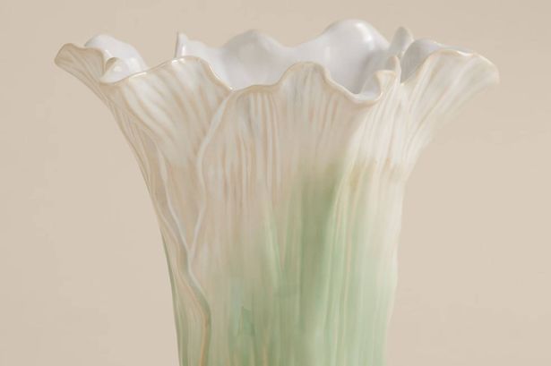 Marks and Spencer’s £24 ‘spectacular’ floral vase is must-have decor for spring