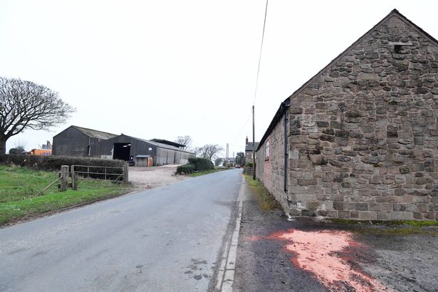 Three men injured after car smashes into tree