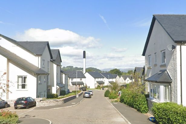 Armed police descend on Kendal street after man stabbed