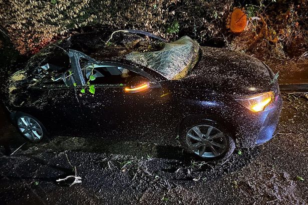 Teenager wild campers found sheltering in box as Storm Dave brings down trees