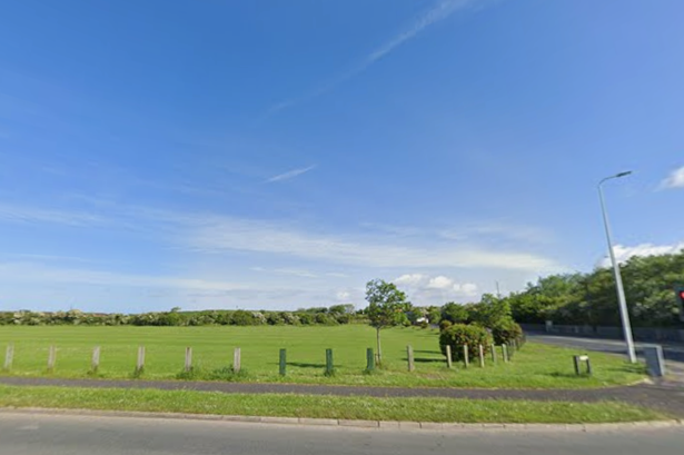 Plans for playground and community facilities on Thornton field amid development fears