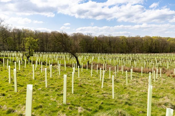 The massive 1,000 football-pitch project transforming Lancashire