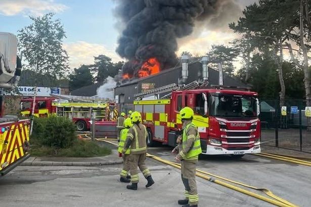 All animals killed after huge fire tears through kids’ soft play and mini zoo