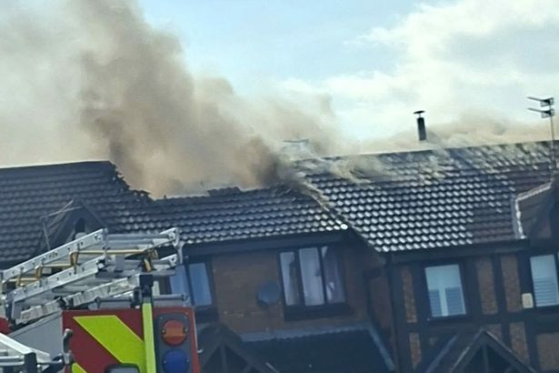 ‘Absolutely devastating’ Preston fire damages homes as neighbours rescue dogs