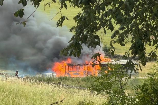 Man arrested in murder probe after woman in her 30s dies in farm blaze