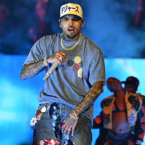 Chris Brown contests $13 million dog attack verdict