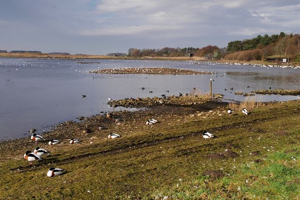 The Lancashire nature reserve dubbed the ‘most wholesome day out’ in the North