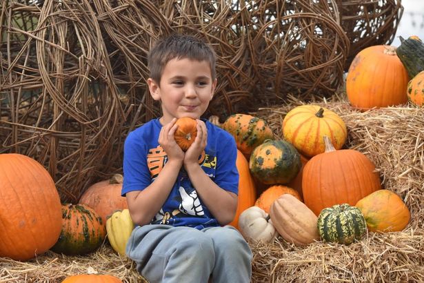Halloween events coming to Lancashire in the next few weeks includes pumpkins and terrifying scares