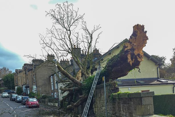 A weekend of destruction across Lancashire as Storm Boelo sparks traffic delays, fallen trees and cancelled events
